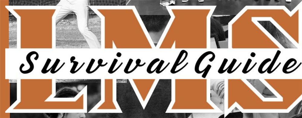  LMS Survival Guide